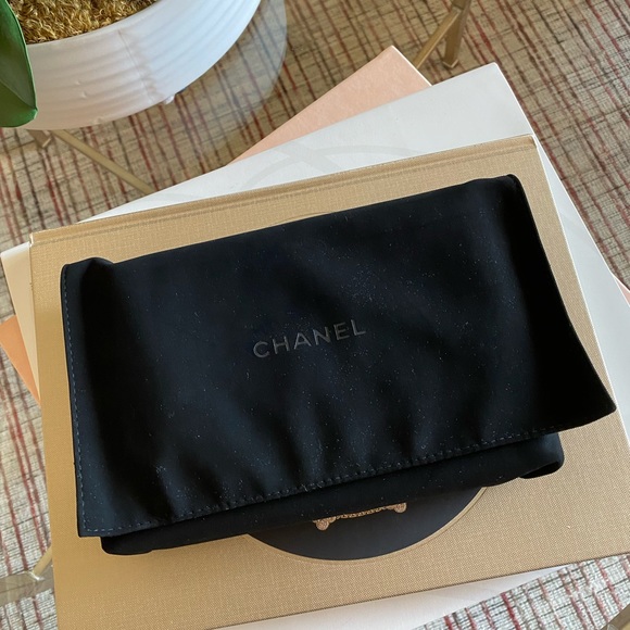 RARE ⭐️Authentic Chanel Python WOC Bag ⭐️ NWT - Picture 4 of 14